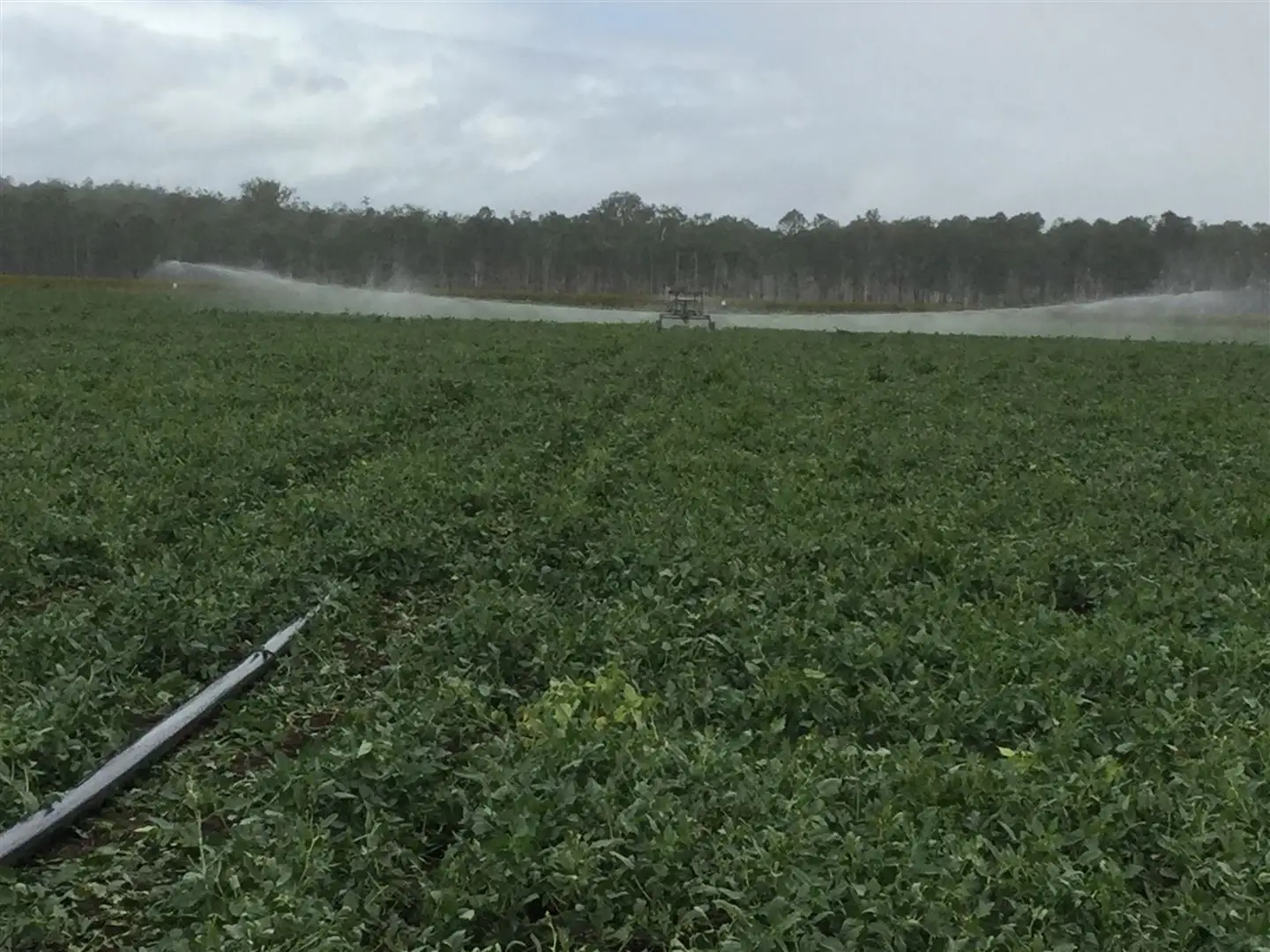 Main view of Homely rural property listing, 749 Burnett Highway, Nanango QLD 4615