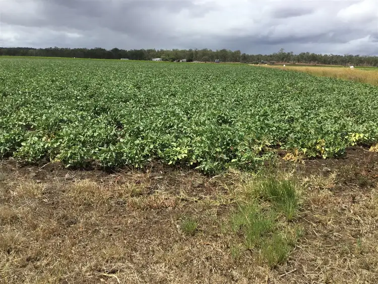 Fourth view of Homely rural property listing, 749 Burnett Highway, Nanango QLD 4615