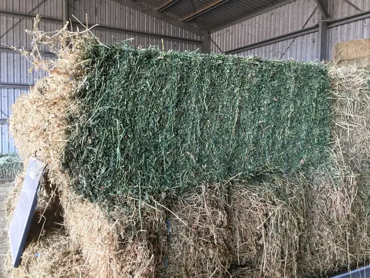 Sixth view of Homely rural property listing, 749 Burnett Highway, Nanango QLD 4615