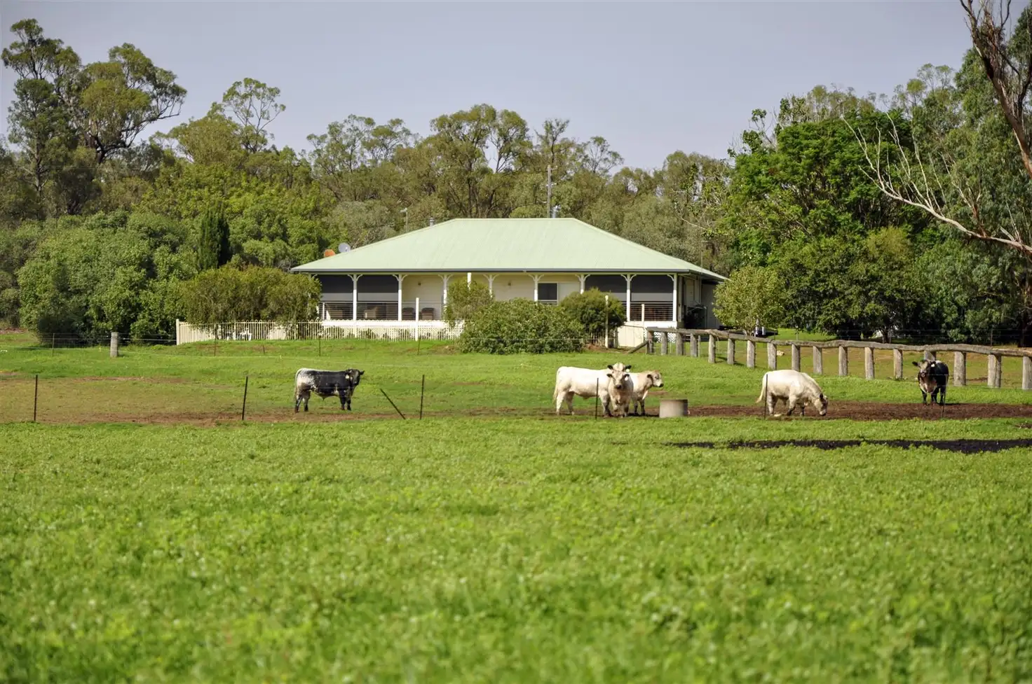Main view of Homely rural property listing, 150 Treloar Rd, 'Treloar', Spring Ridge NSW 2343