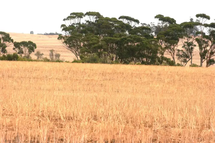 Second view of Homely rural property listing, . Rossmore Road, Jennacubbine WA 6401