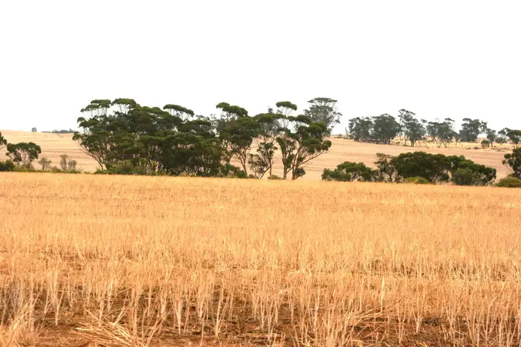 Third view of Homely rural property listing, . Rossmore Road, Jennacubbine WA 6401