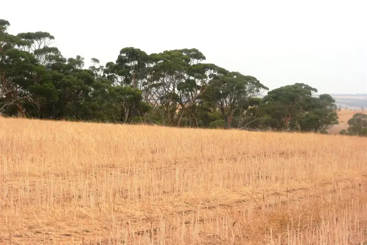 Fourth view of Homely rural property listing, . Rossmore Road, Jennacubbine WA 6401
