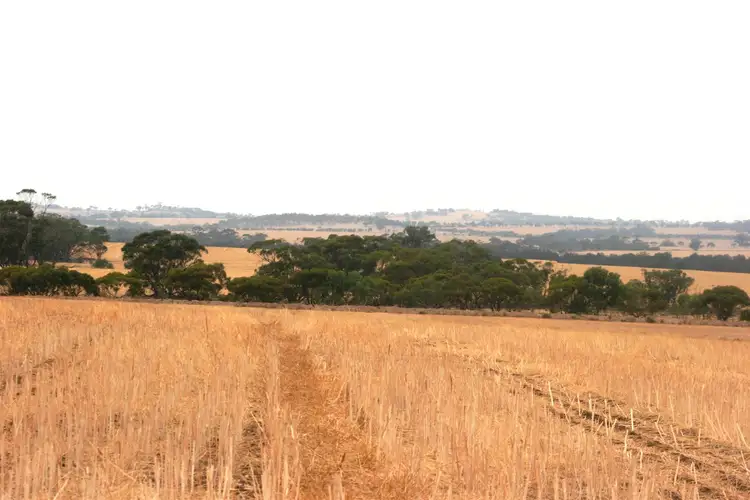 Fifth view of Homely rural property listing, . Rossmore Road, Jennacubbine WA 6401
