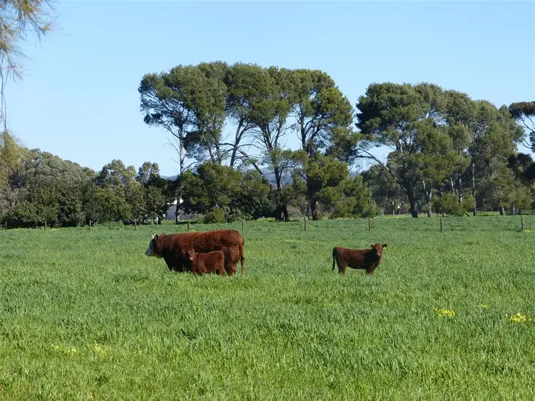Fourth view of Homely rural property listing, S617 Boundary Road, Jamestown SA 5491