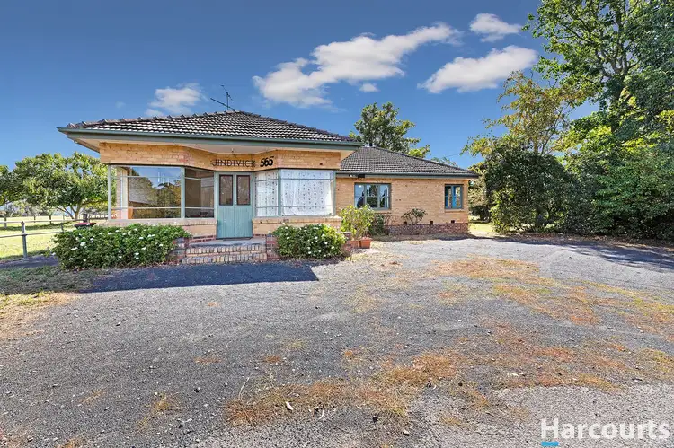 Main view of Homely house listing, 565 Main Jindivick Road, Jindivick VIC 3818