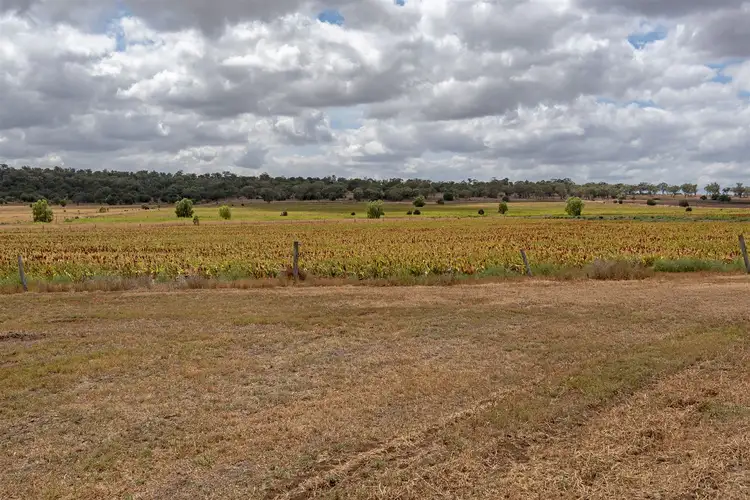 Fourth view of Homely rural property listing, 540 Oakey-Pittsworth Road, Pittsworth QLD 4356