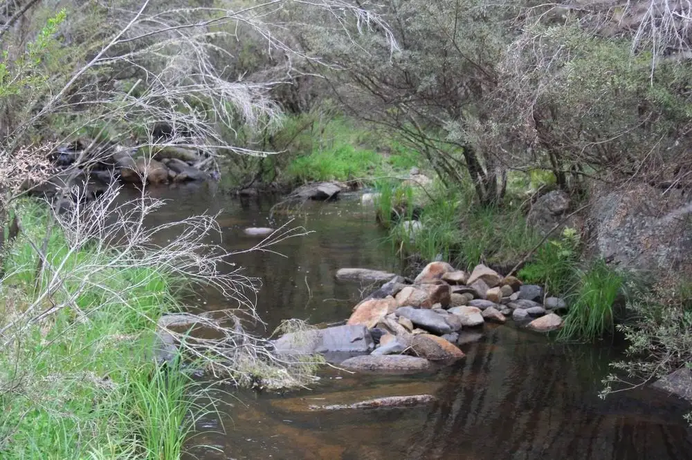 Main view of Homely rural property listing, 38 Hereford Hall Road, Jerrabatgulla, Braidwood NSW 2622