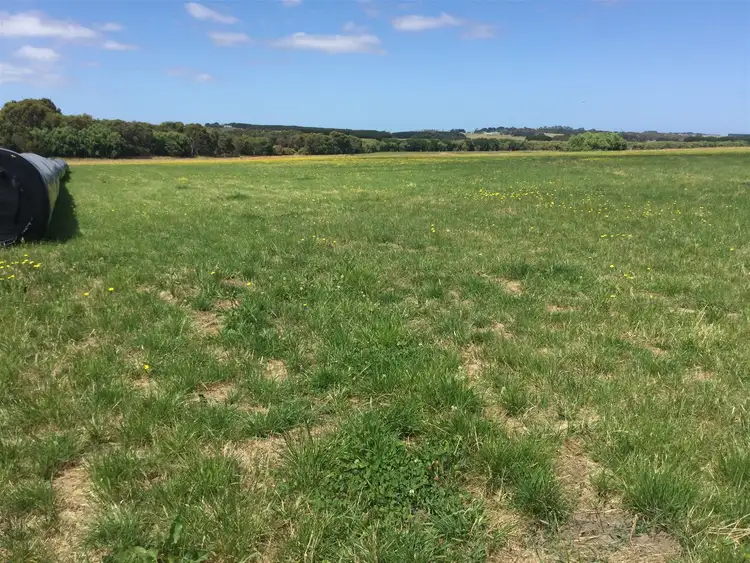 Fifth view of Homely rural property listing, 1380 Cooriemungle Rd, Cooriemungle VIC 3268