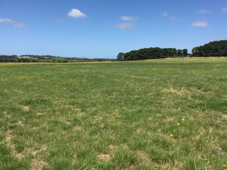 Seventh view of Homely rural property listing, 1380 Cooriemungle Rd, Cooriemungle VIC 3268