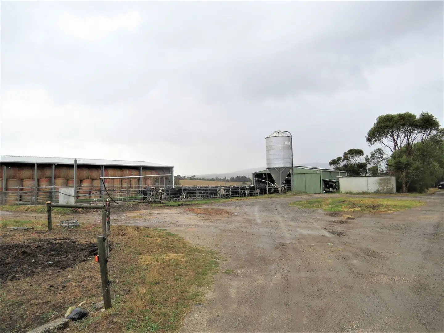 Main view of Homely rural property listing, 221 Heartsridge Road, Trafalgar East VIC 3824