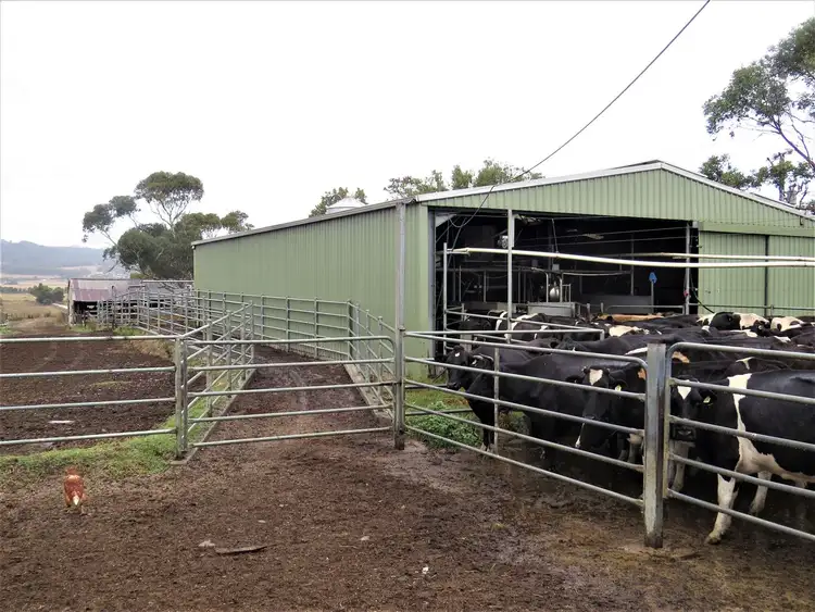 Sixth view of Homely rural property listing, 221 Heartsridge Road, Trafalgar East VIC 3824