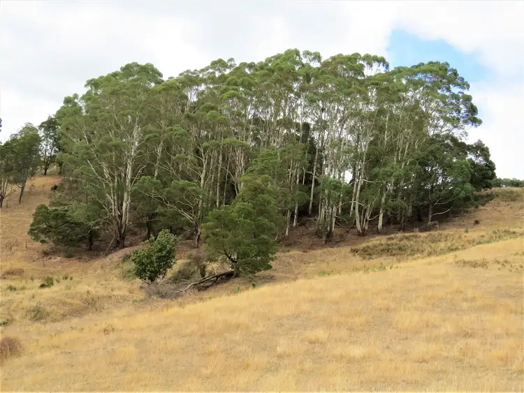 Fourth view of Homely rural property listing, 269 Old Yarragon Leongatha Road, Yarragon South VIC 3823