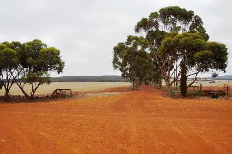 Main view of Homely rural property listing, 99 Old Newdegate Road, Ravensthorpe WA 6346