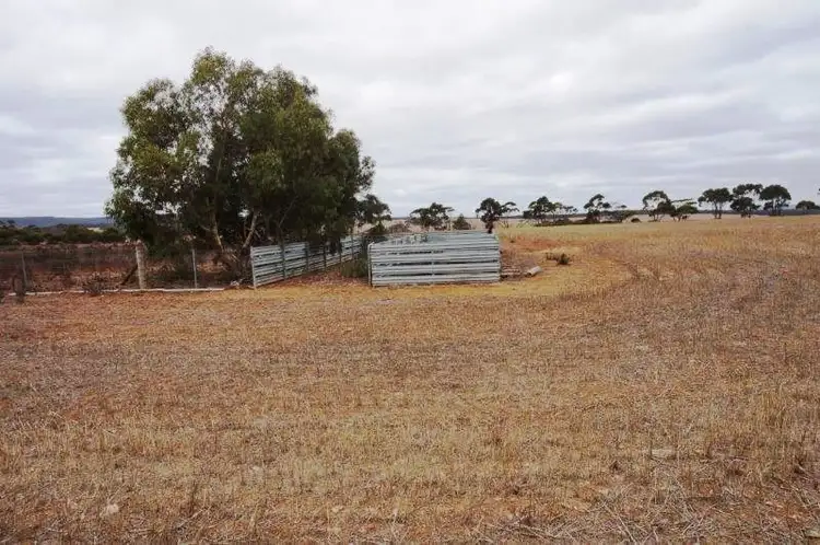 Sixth view of Homely rural property listing, 99 Old Newdegate Road, Ravensthorpe WA 6346
