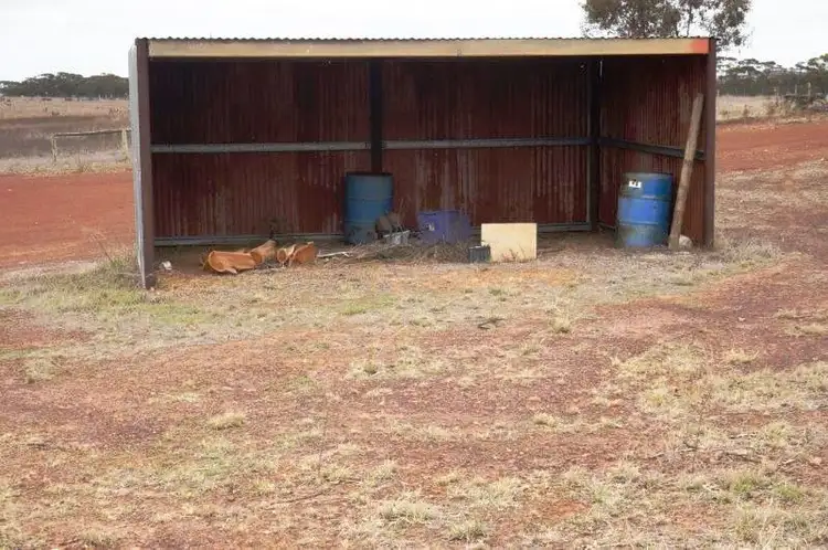Seventh view of Homely rural property listing, 99 Old Newdegate Road, Ravensthorpe WA 6346