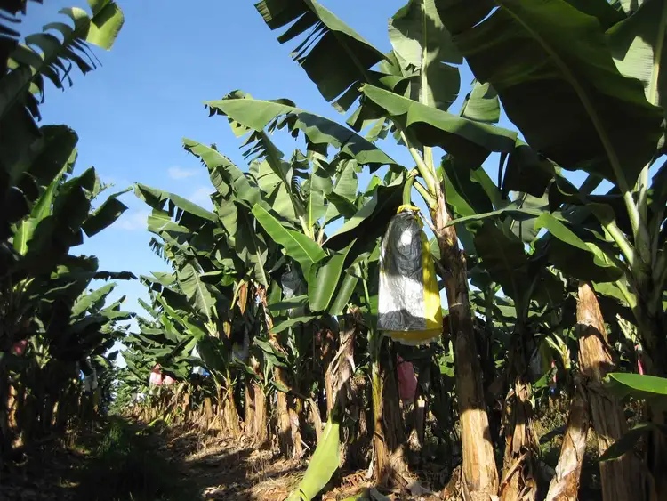 Sixth view of Homely rural property listing, Address available on request