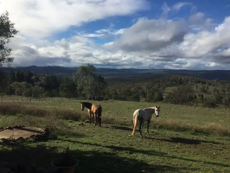 Second view of Homely rural property listing, 1560 Numeralla Rd, Cooma NSW 2630