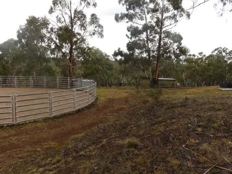 Seventh view of Homely rural property listing, 1560 Numeralla Rd, Cooma NSW 2630