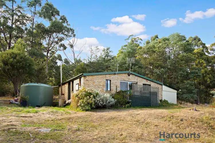 699 Ironcliffe Road, Penguin TAS 7316