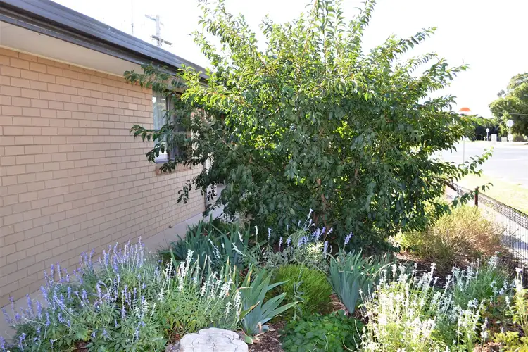 Second view of Homely unit listing, 1/142 Boundary Street, Kerang VIC 3579