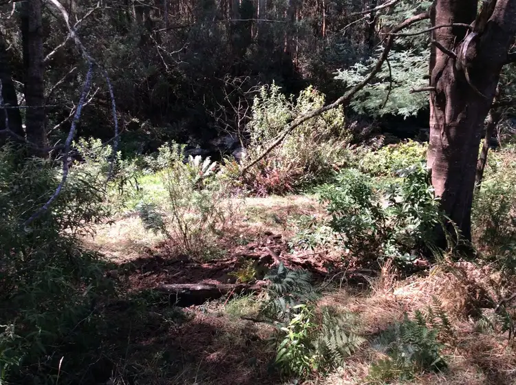 Sixth view of Homely rural property listing, 69 River Road, Madalya VIC 3971