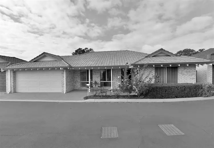 32 Saffron Loop
