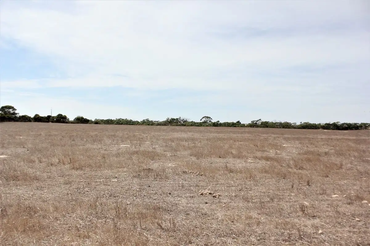Main view of Homely land listing, Sect. 120 Treloar Road, Minlaton SA 5575