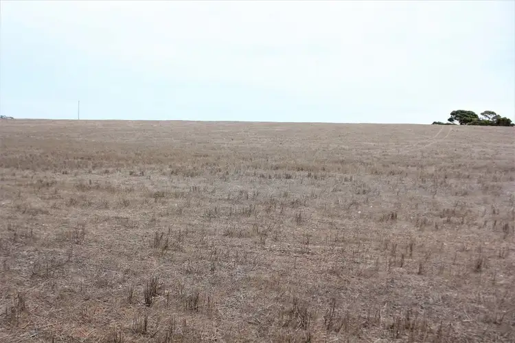 Fifth view of Homely land listing, Sect. 120 Treloar Road, Minlaton SA 5575