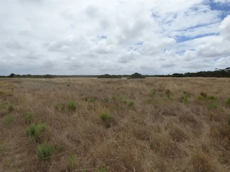 Third view of Homely rural property listing, Sect 19 Wookata Road, Coorabie SA 5690