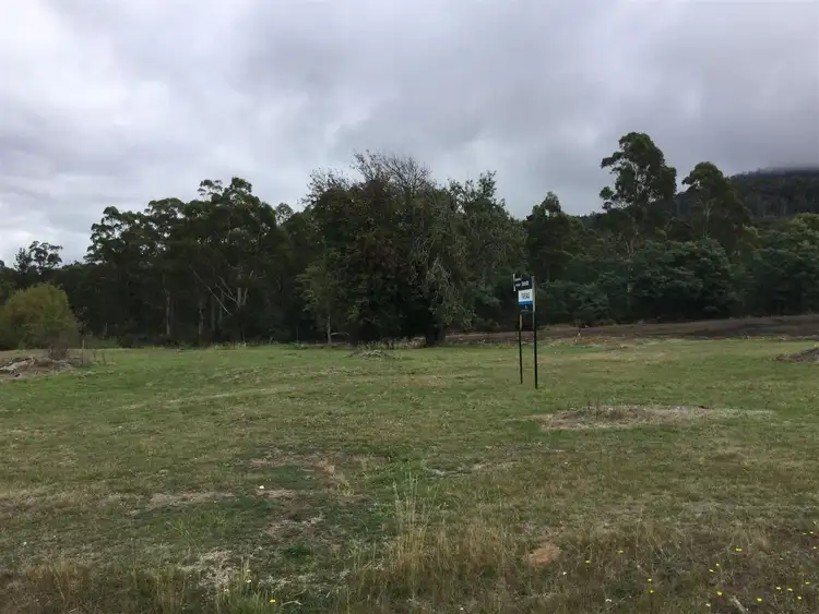 Sixth view of Homely land listing, 55 Alexander Street, Cornwall TAS 7215