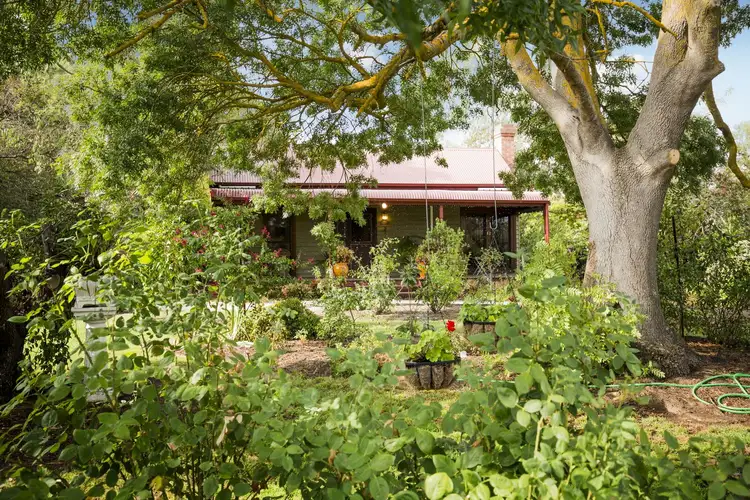 Third view of Homely rural property listing, 5405 Goulburn Valley Highway, Yea VIC 3717