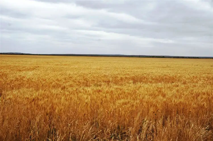 . Myamba, Hopetoun WA 6348