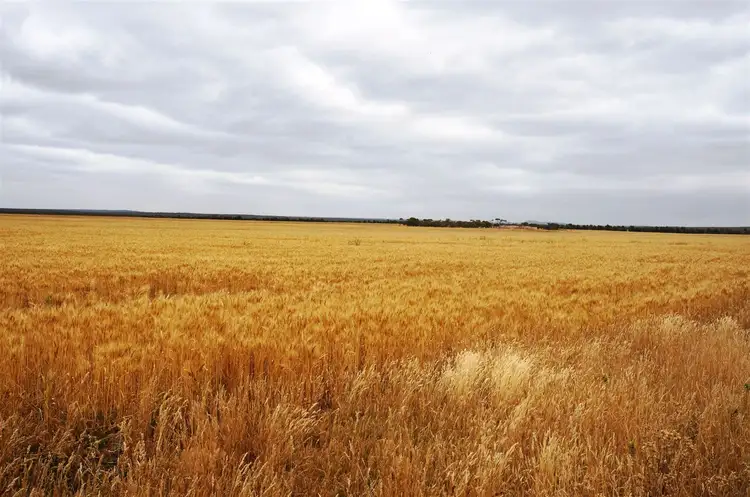 Second view of Homely rural property listing, . Myamba, Hopetoun WA 6348