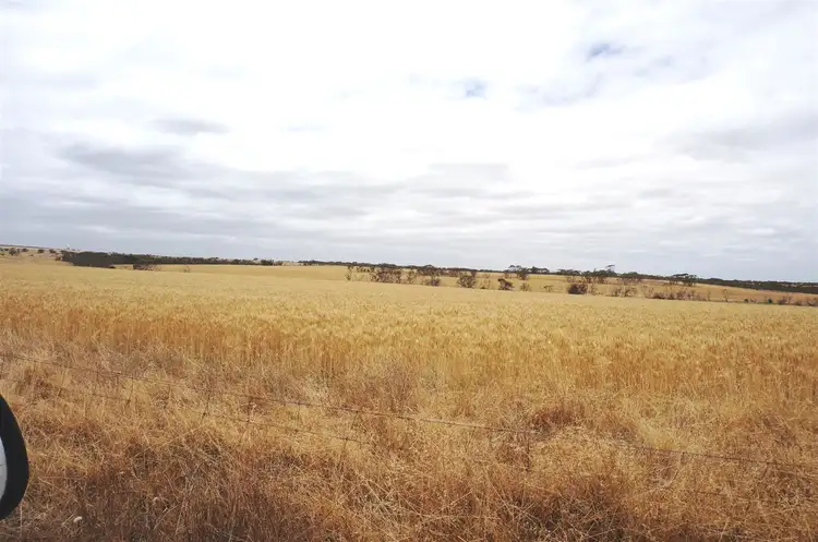 Third view of Homely rural property listing, . Myamba, Hopetoun WA 6348