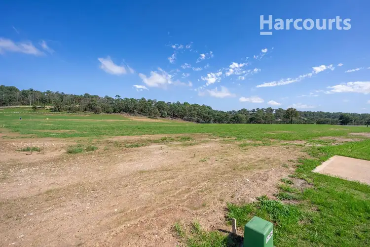 Main view of Homely rural property listing, Lot 203 Gumtree Terrace, Tahmoor NSW 2573