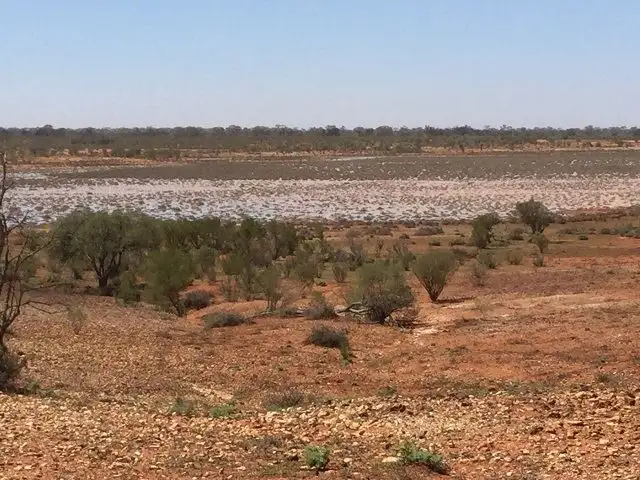 * Yamaramie Station, Tilpa NSW 2840