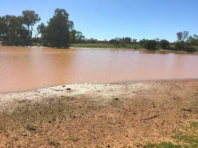 Seventh view of Homely rural property listing, * Yamaramie Station, Tilpa NSW 2840