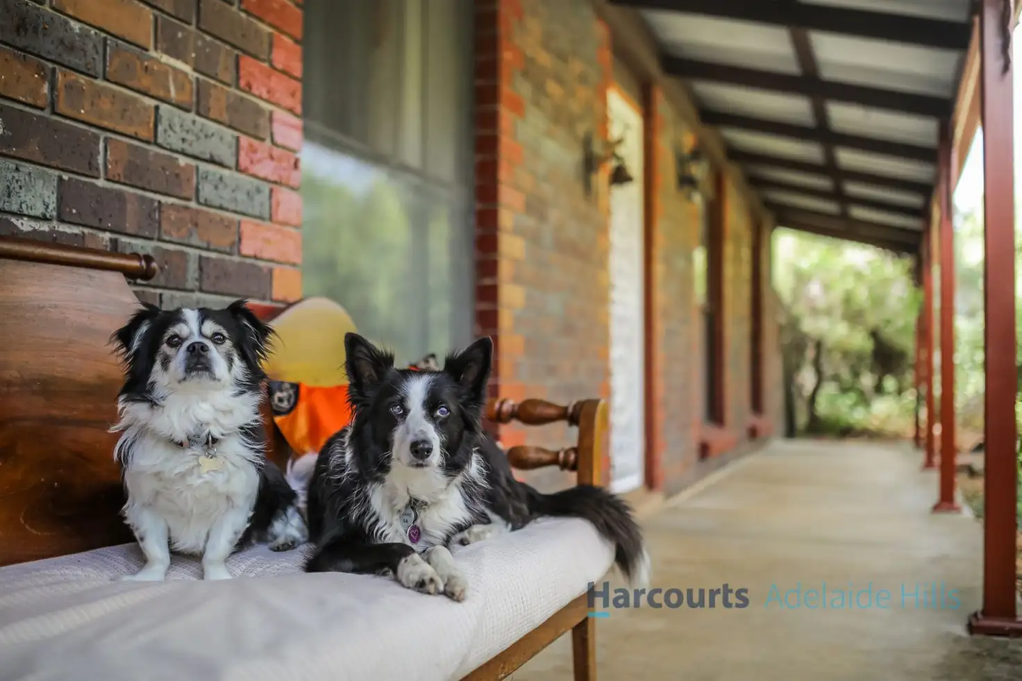 Main view of Homely house listing, 3 Allen Avenue, Mount Barker SA 5251