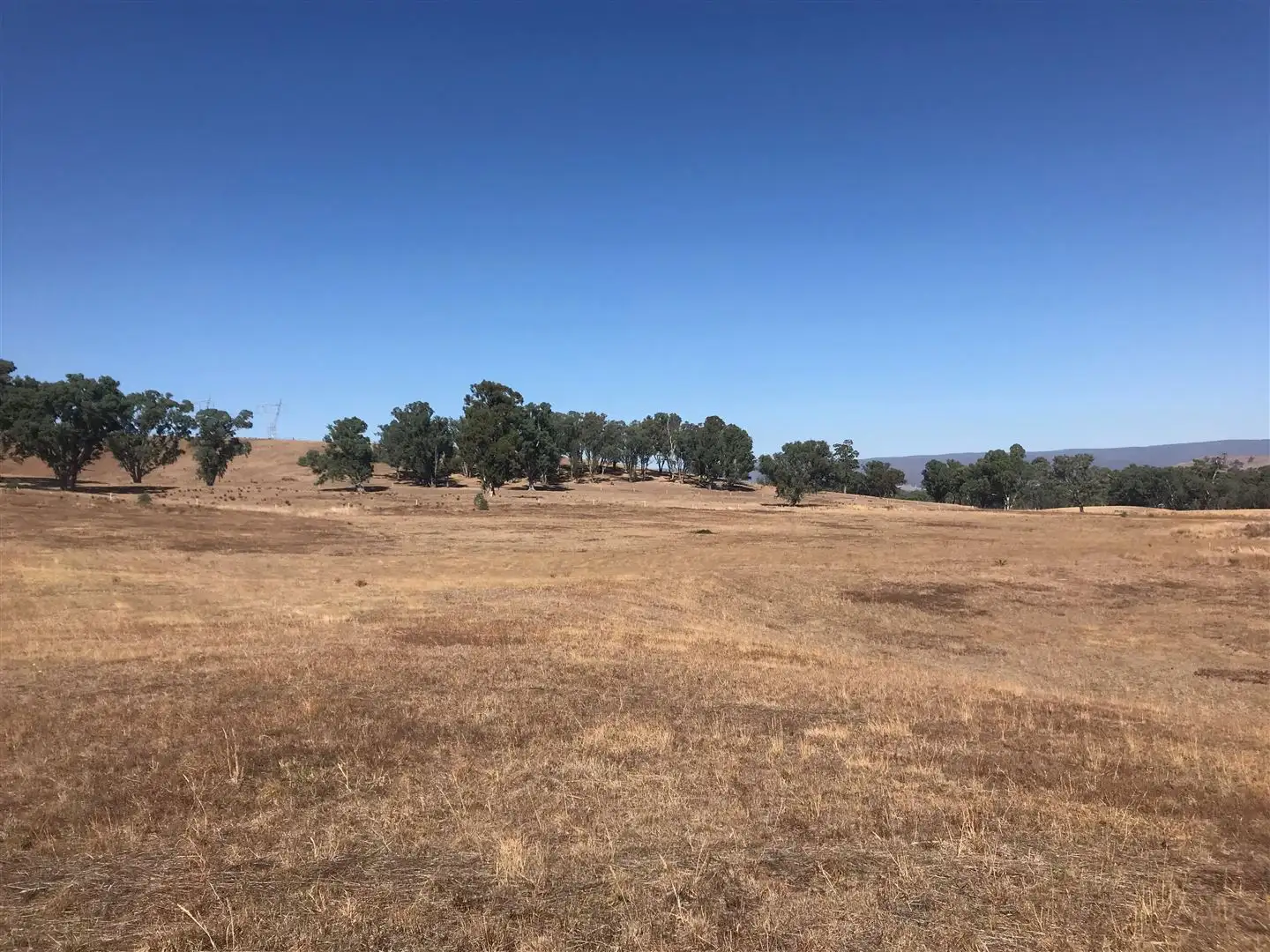 Main view of Homely rural property listing, Address available on request