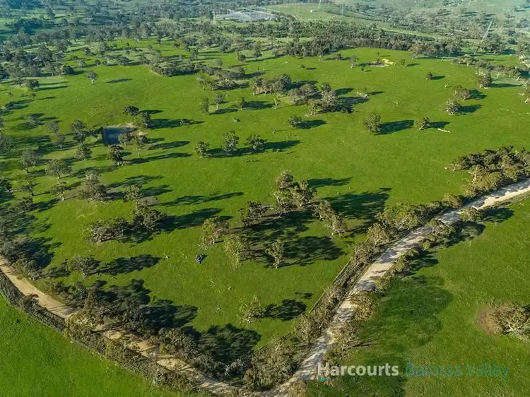 Fifth view of Homely rural property listing, Lot 14 Collins Rd, Tungkillo SA 5236