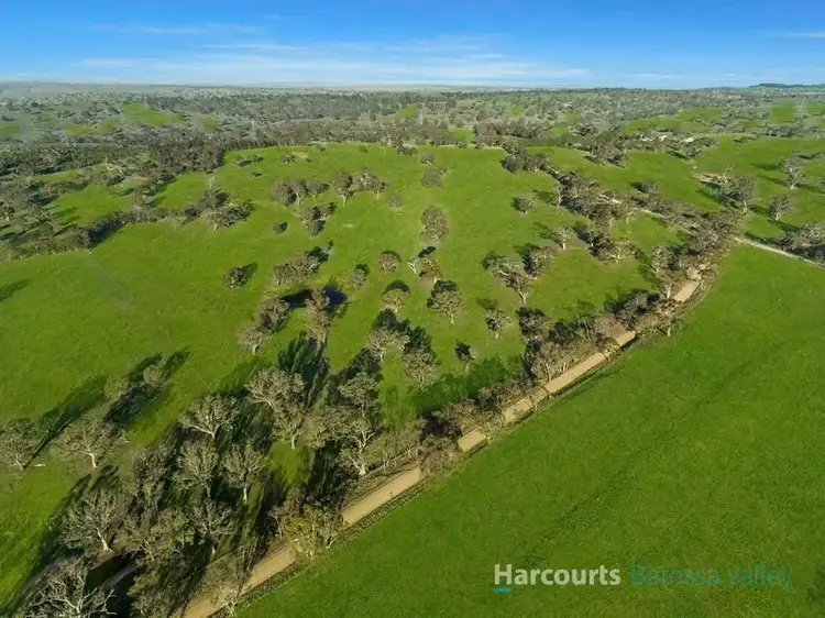 Seventh view of Homely rural property listing, Lot 14 Collins Rd, Tungkillo SA 5236