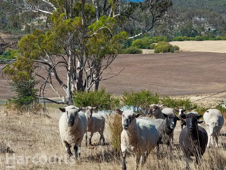 Fourth view of Homely house listing, 513 Eldon Road, Colebrook TAS 7027
