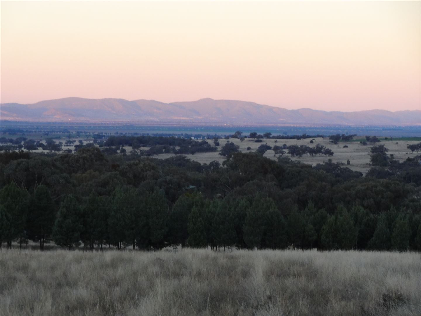 Main view of Homely rural property listing, "Eabrai" Stevenson Rd, Gunnedah NSW 2380