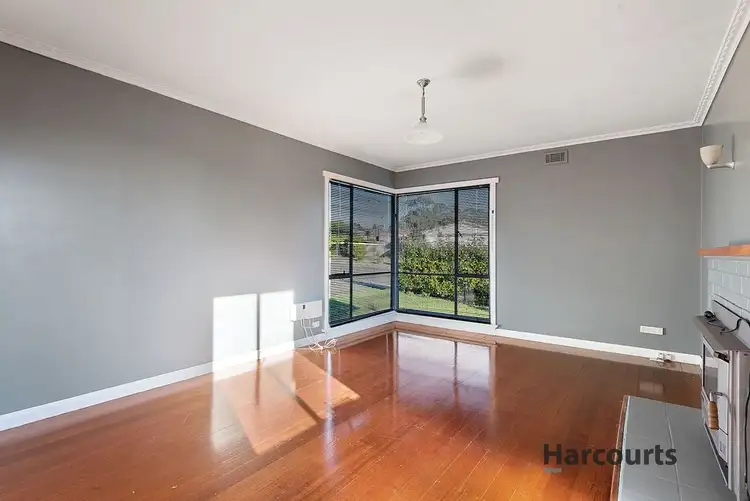 Third view of Homely house listing, 17 Elizabeth Street, Scottsdale TAS 7260