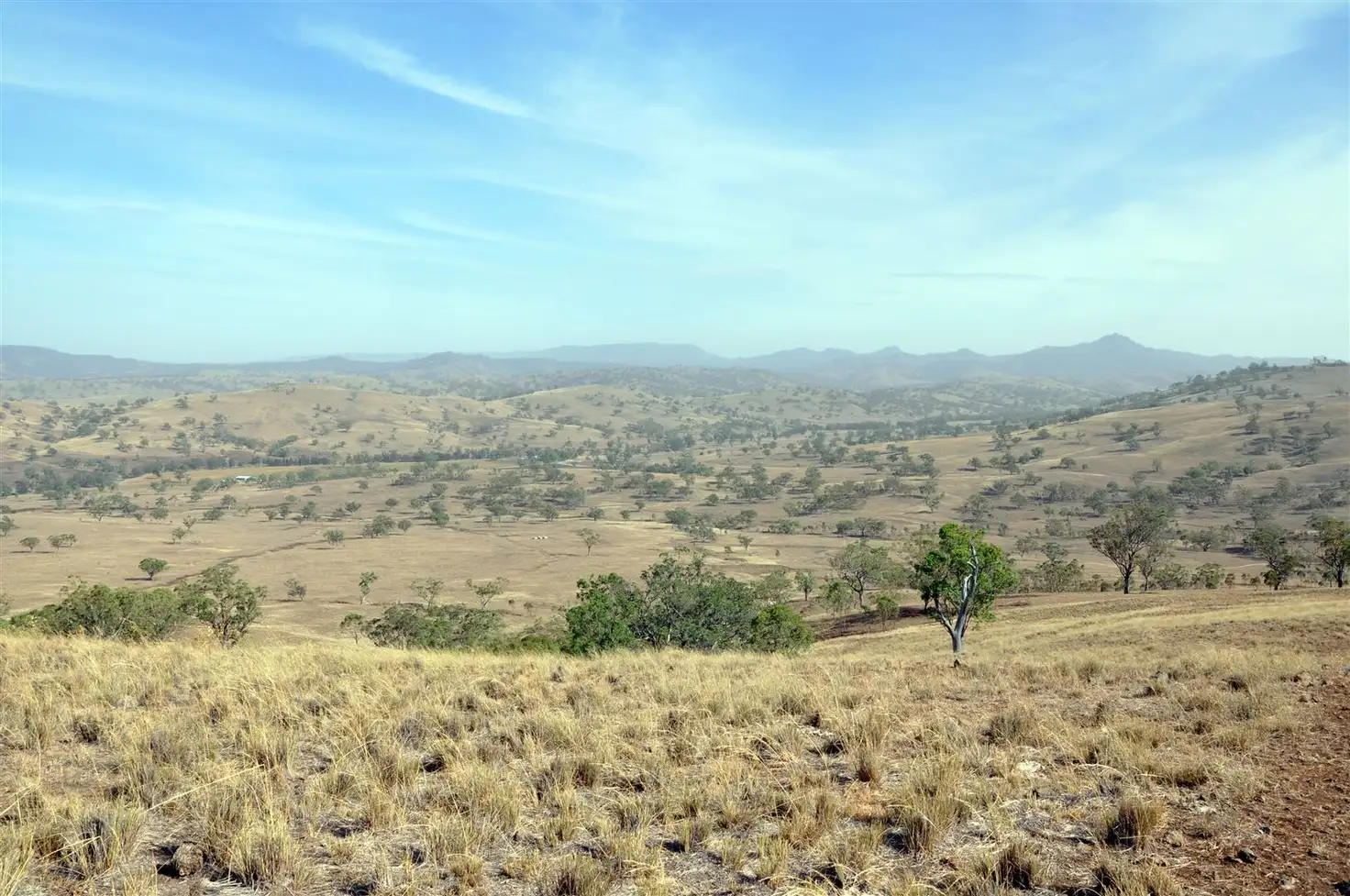 Main view of Homely rural property listing, . 'Coulsons' Willow Tree Rd, Merriwa NSW 2329