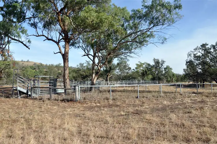Third view of Homely rural property listing, . 'Coulsons' Willow Tree Rd, Merriwa NSW 2329