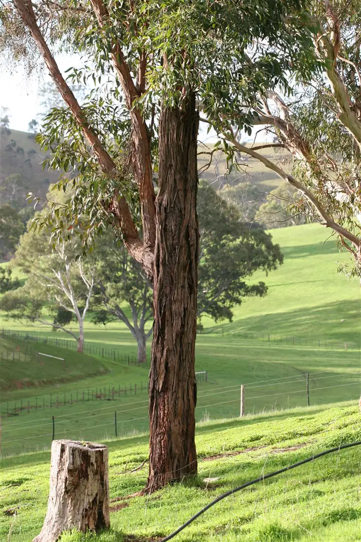 Fifth view of Homely rural property listing, 40 Crockers Road, Yattalunga SA 5114