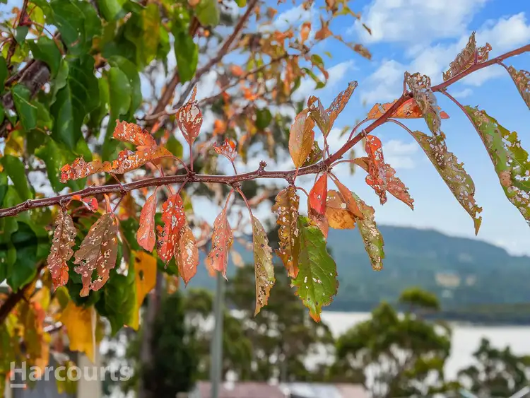475 White Beach Road, White Beach TAS 7184