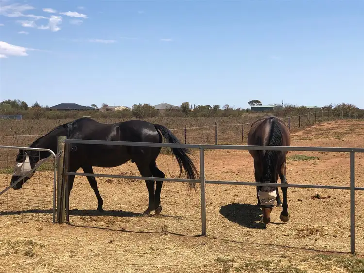 Second view of Homely land listing, 20 Harris Road, Dublin SA 5501